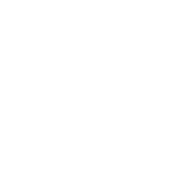 mingcute document fill